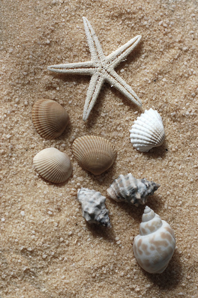 夏季