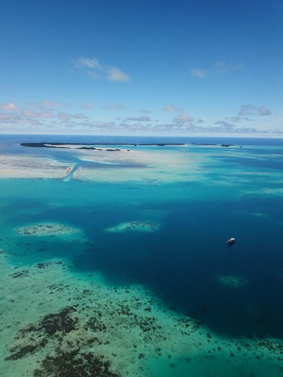 German channel at Palau, Manta ray diving spot