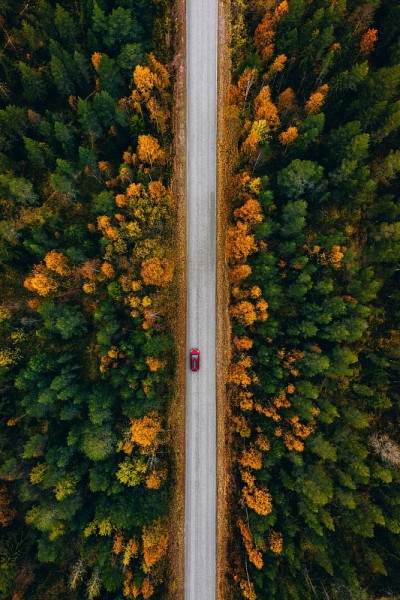 鸟瞰图的农村道路在黄色和橙色的秋天森林在芬兰农村。