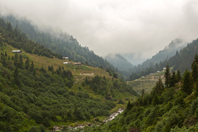 Ayder高原和雾森林-Rize，土耳其