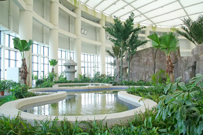 各种各样的植物和建筑