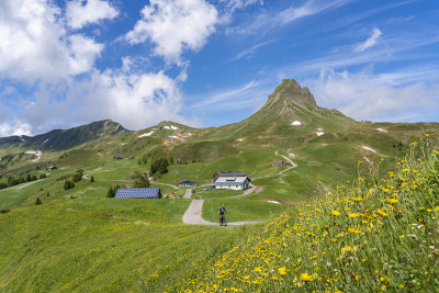 在奥地利佛拉尔伯格的阿尔卑斯山上骑电动山地车的老妇人