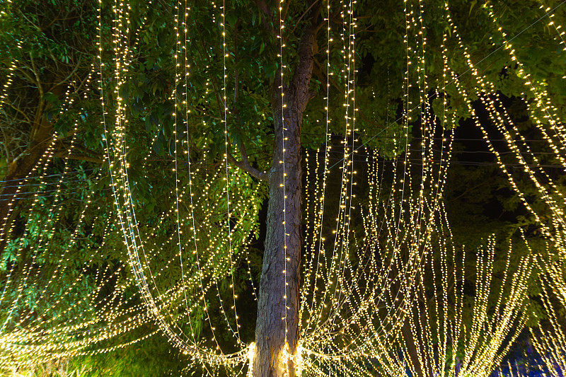 节日季节的夜晚，装饰室外的串灯挂在花园里的树上