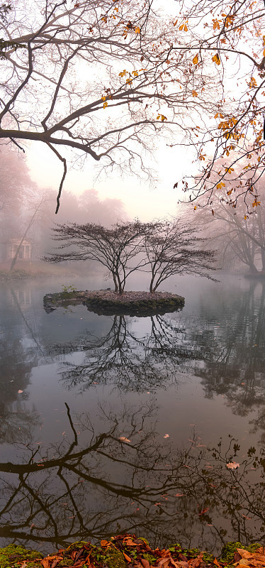 Autumn trees and foliage
