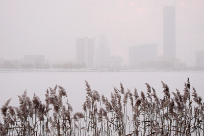 叶卡特琳堡。城市池塘边雪地里的芦苇