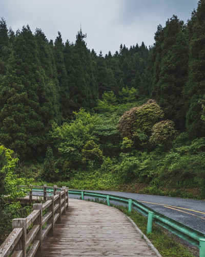 中国江西明月山上的路