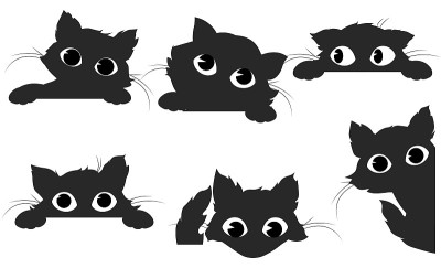 一套黑猫