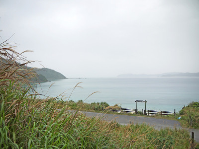 Amami海岸