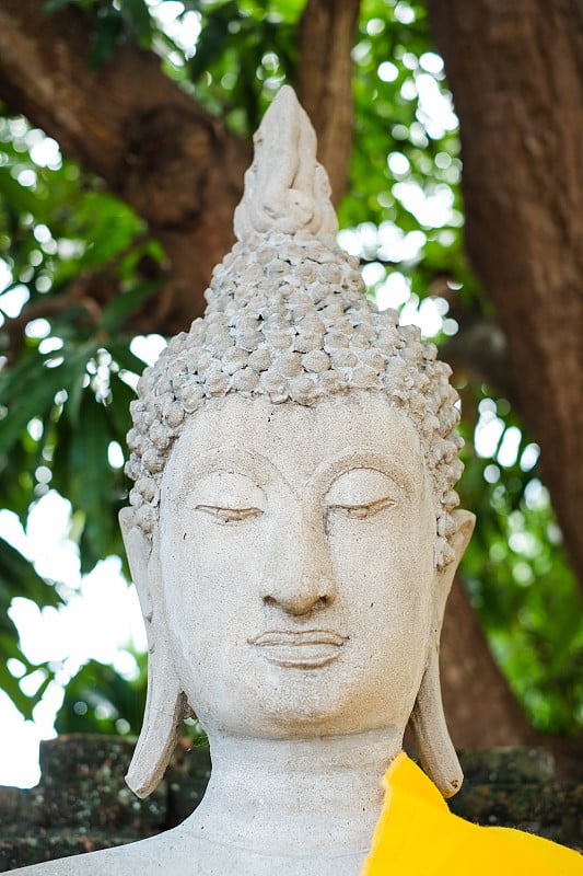 在泰国大城府Yai Chaimongkol (Wat Yai Chaimongkol)，神奇的黄色僧