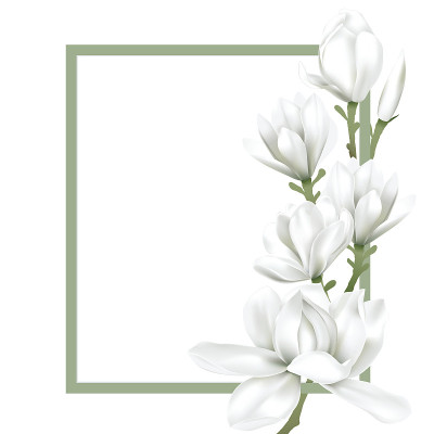 白花相框