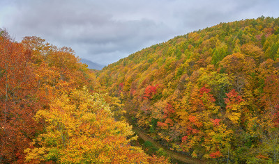 福岛中津川桥上的五彩秋山