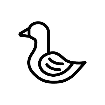 鸭