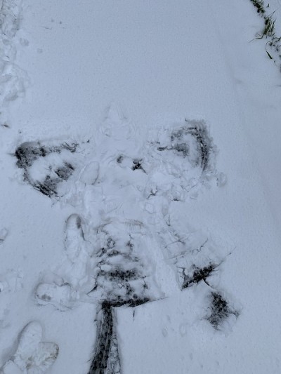 雪的天使打印
