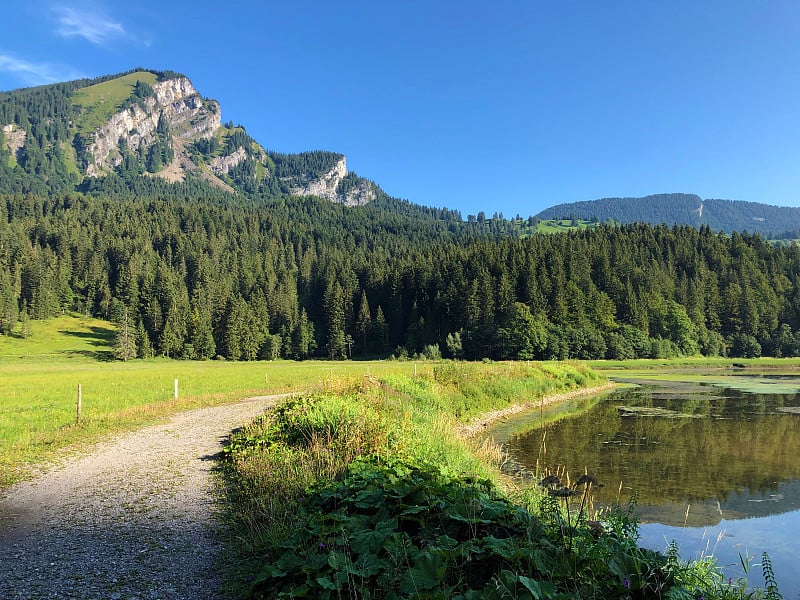 在欧伯seetal高山山谷徒步旅行和步行小径，纳弗尔斯(Näfels或纳弗尔斯)-格拉鲁斯州，瑞士