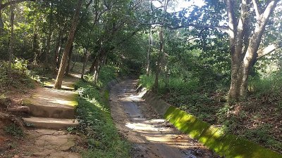 七湖瀑布公园/毫克