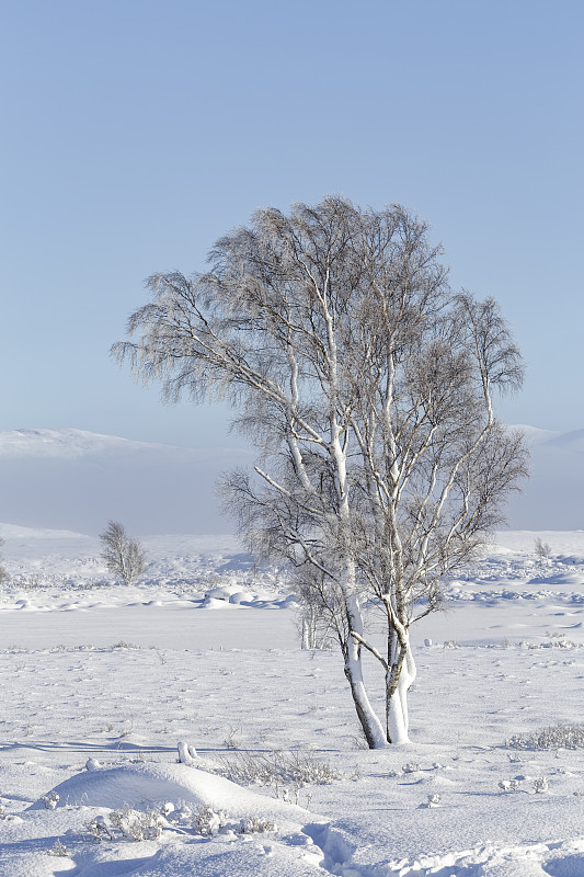 英国苏格兰高地的Rannoch Moor。