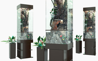 水族馆。Paludarium。集。3 d渲染。