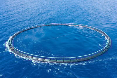 Aerial view close up, fish farm with floating cage