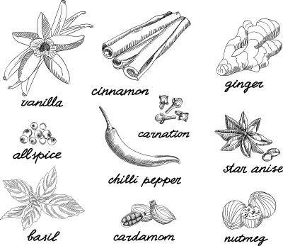 香料素描集合。