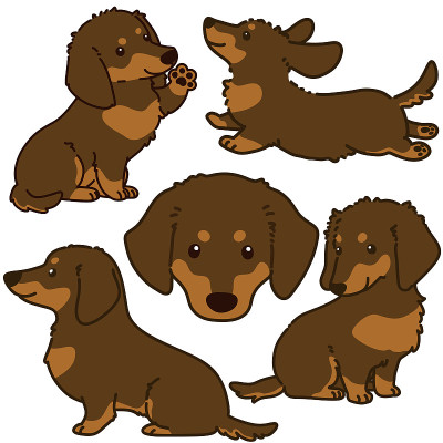 一套概述达克斯猎犬插图巧克力和棕褐色