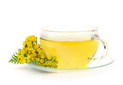 茶艾菊