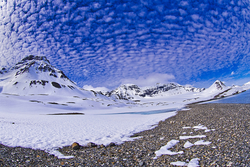 北极Trygghamna湾的雪山