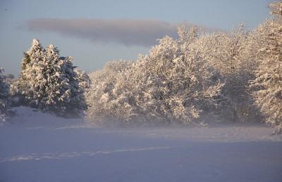 冬季雪景卡迪夫，南威尔士，英国