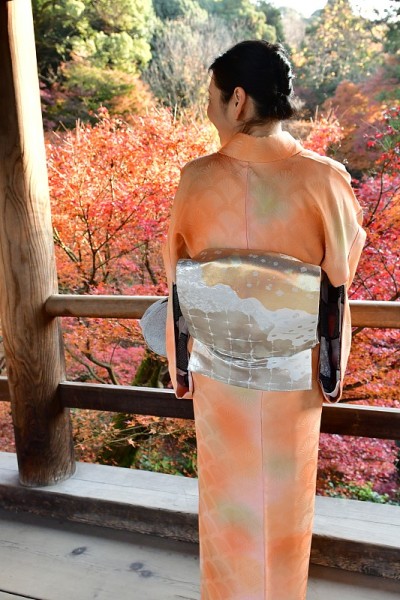 穿着和服的日本妇女在京都Tofuku-ji享受秋天的树叶