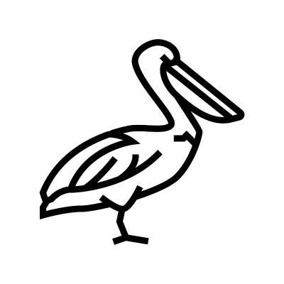 鹈鹕野生鸟线图标矢量插图