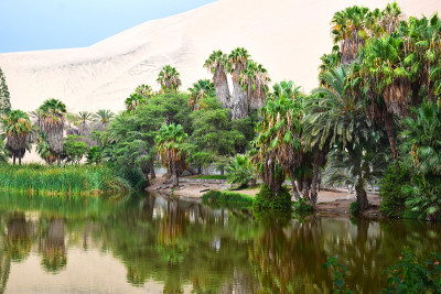 风景在Huacachina