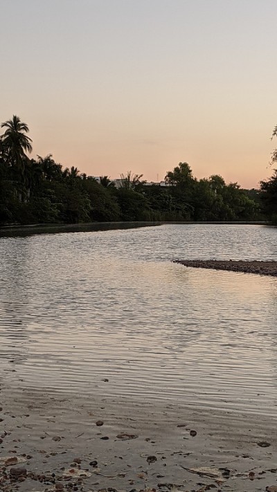 pitilal河(图1)