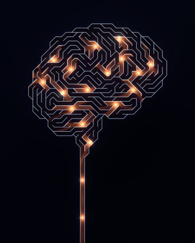 脑迷宫科学与医学研究