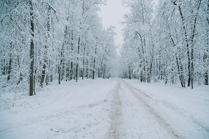 在冰雪覆盖的森林里的一条路