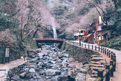 日本美丽的森林和瀑布