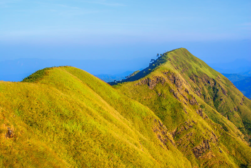 草山