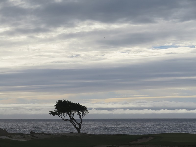 海岸线景观