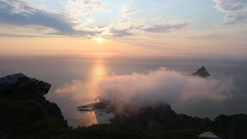 海鸥