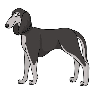 可爱的卡通萨卢基小狗品种矢量剪贴画。纯种犬舍狗品种为狗爱好者。纯种家犬为宠物客厅插图吉祥物。隔离犬猎