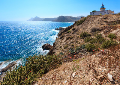 夏天的岩石海岸(Costa Blanca，西班牙)。