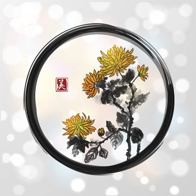 菊花花在黑色的enso禅宗圆上白光闪闪
