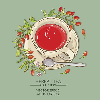 枸杞茶矢量插图
