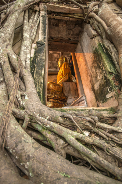 泰国榕树寺