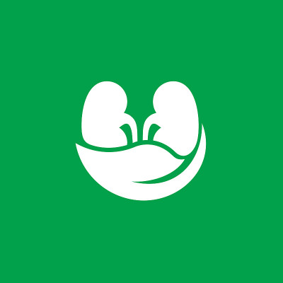 叶肾标志设计概念向量，自然肾标志模板