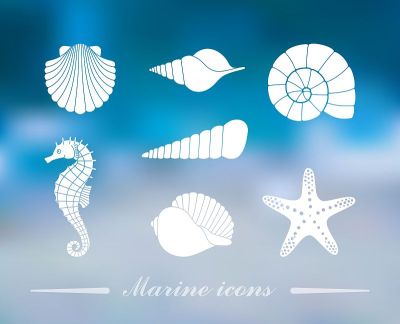 贝壳，海马和海星的轮廓在彩色的背景与散焦灯光