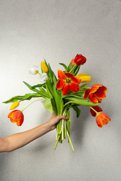 白色背景上的郁金香花束