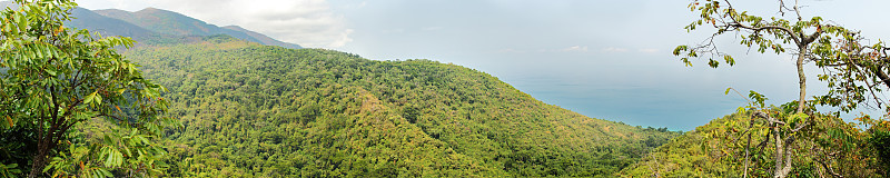 冈贝森林全景