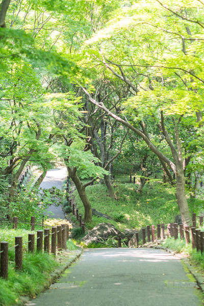 Kitanomaru公园长廊