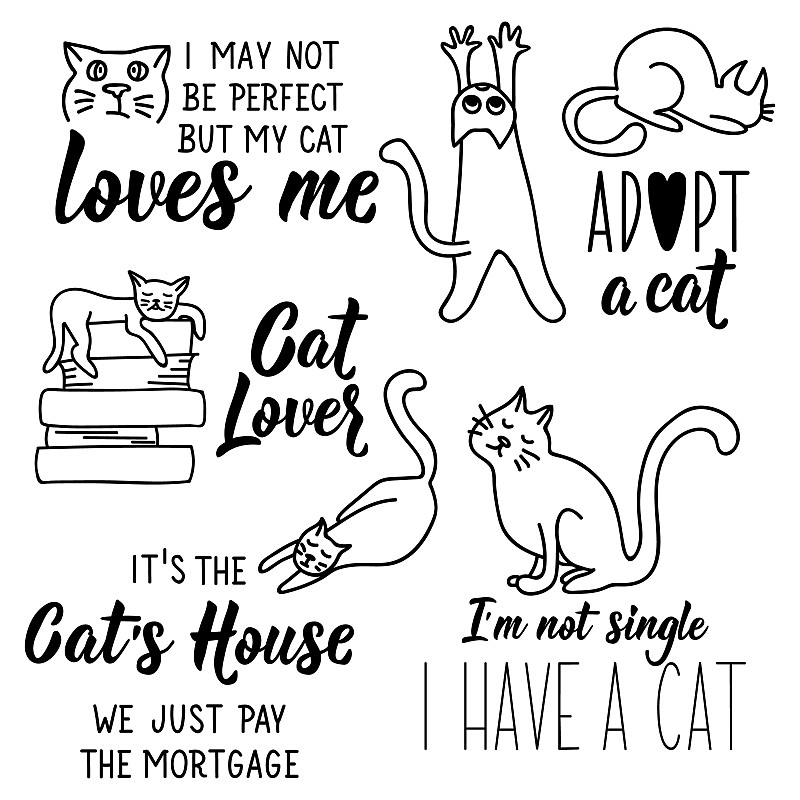 关于猫的有趣短语。手绘制的猫在不同的姿态。矢量插图涂鸦风格。孤立在白色背景上。刻字