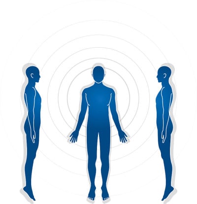 人体的插图。男性的草图