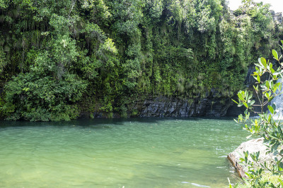 veadeiros的Chapada dos veadeiros